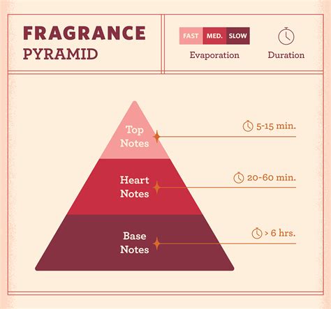 fragrance top middle base notes.